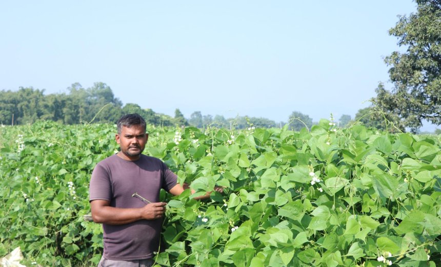 व्यावसायिक तरकारी खेतीबाट वार्षिक १० लाख बचत